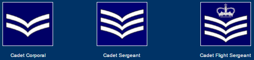 739 (Scarborough) Squadron; Air Cadets - Ranks